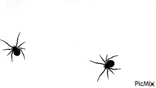 pająk - GIF animado gratis
