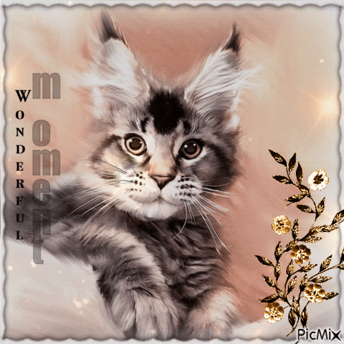Katzenporträt - GIF animate gratis