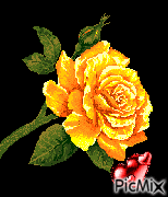 Λουλούδι αγάπης - Kostenlose animierte GIFs
