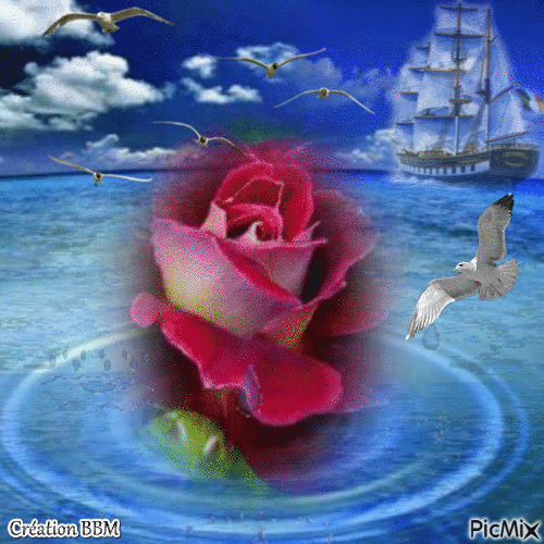 Une rose à la mer par BBM - Gratis geanimeerde GIF