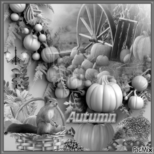 Autumn in black white - gratis png