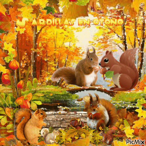Ardillas en otoño - Zdarma animovaný GIF