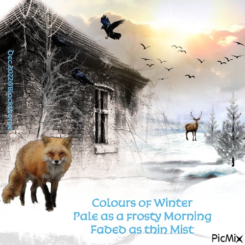 Colours of Winter - PNG gratuit