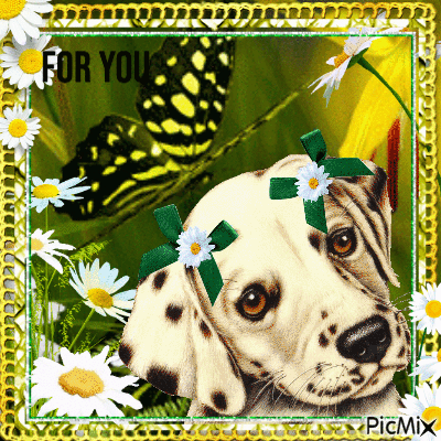 vintage dog with daisies - GIF animé gratuit
