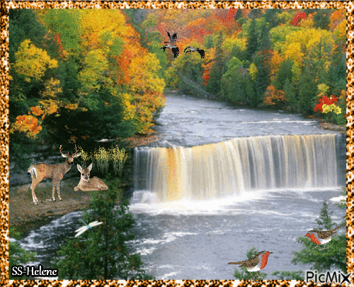 Autumn and waterfall. - Darmowy animowany GIF