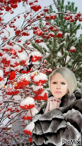 я и снегири - 無料のアニメーション GIF