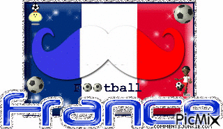 VIVE LA FRANCE !!!!! - Darmowy animowany GIF
