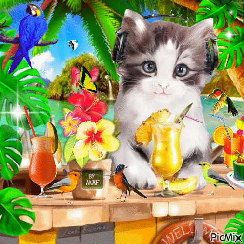 Tropical Drink - GIF animado gratis