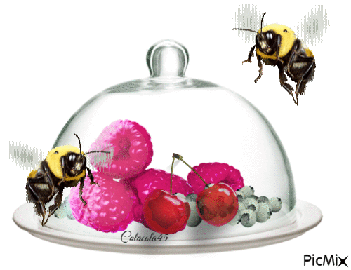 včely - Animovaný GIF zadarmo