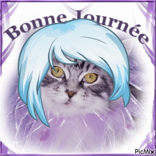 chat avec perruque - Free animated GIF
