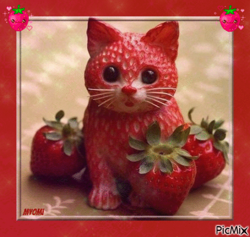 chat fait avec des fraises - Free animated GIF