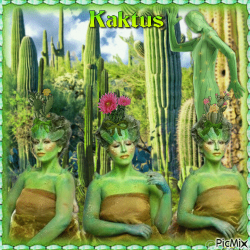 Kaktus - GIF animado grátis