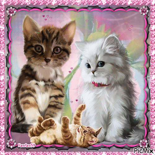 Adorable petits chats - Gratis geanimeerde GIF