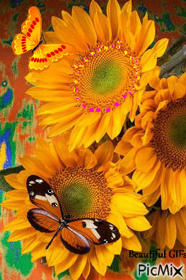 Sunflower butterflies - GIF เคลื่อนไหวฟรี