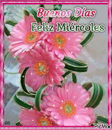 Flores Rosadas - Бесплатный анимированный гифка