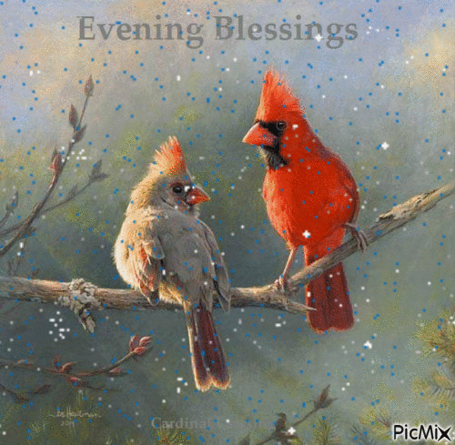Evening blessings - GIF animasi gratis
