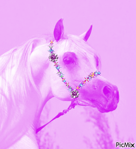 arabian horse - 免费动画 GIF