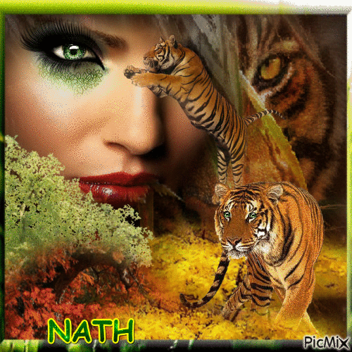 la beauté du tigre - Gratis animerad GIF