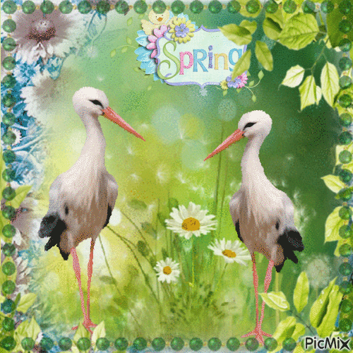 Frühling printemps spring