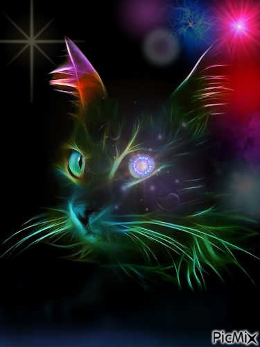 colourkitty. - zadarmo png