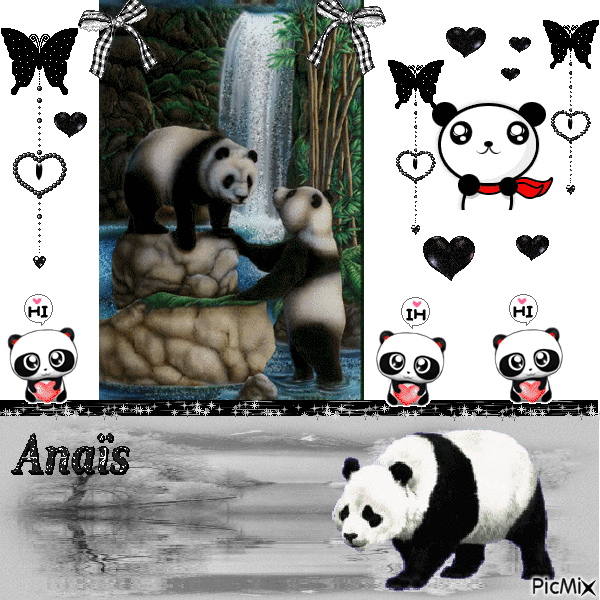 pandas, concours carole-27 - GIF animate gratis