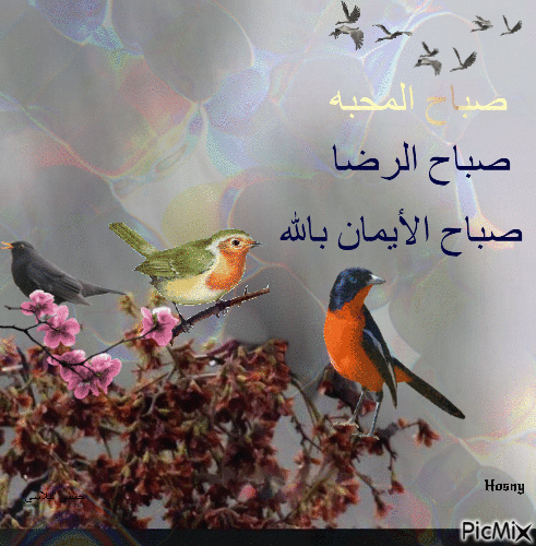 صباح الخير - Безплатен анимиран GIF