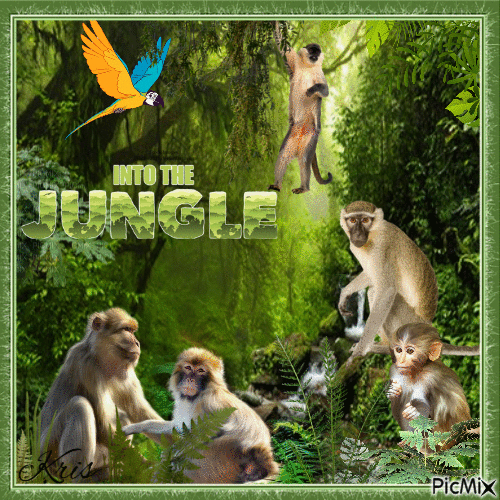 Famille d'animaux dans la jungle - GIF animé gratuit