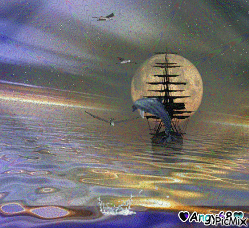 mare di notte - GIF animado grátis