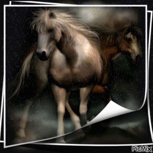 Les chevaux - Ilmainen animoitu GIF