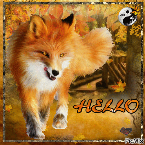 Fox Hello ! - GIF animado grátis