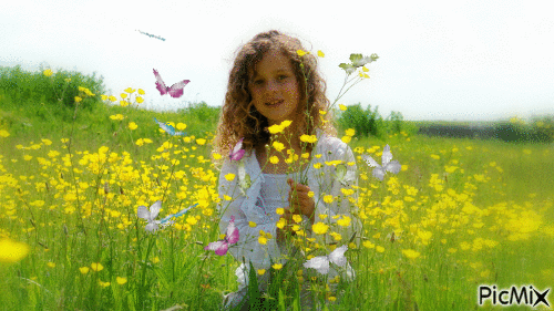 цветы и бабочки - Бесплатни анимирани ГИФ