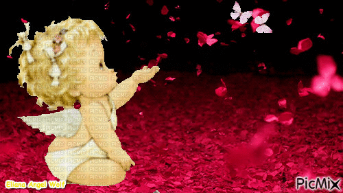 anjo - Darmowy animowany GIF