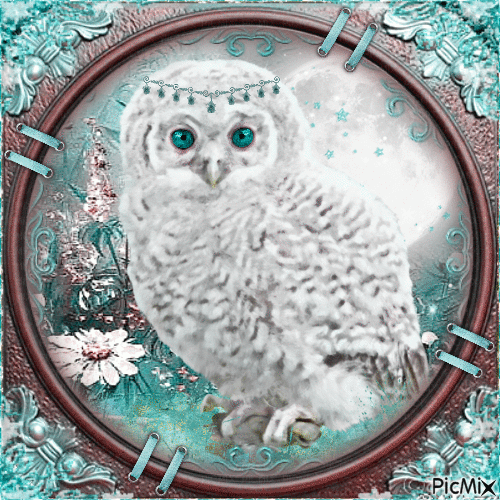 Owl-RM-02-03-23 - Free animated GIF