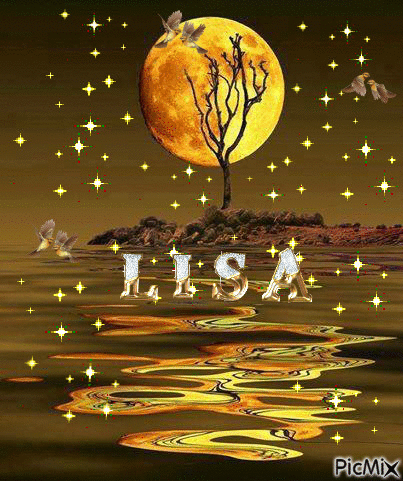 moon reflection - Ingyenes animált GIF