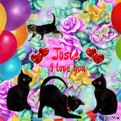 Josie's birthday - GIF animé gratuit