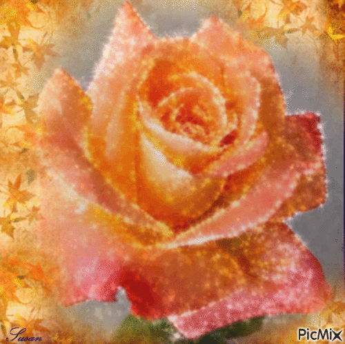 Rosa con brillo - GIF animé gratuit
