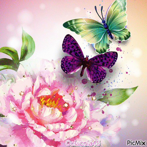 motýli - 無料のアニメーション GIF
