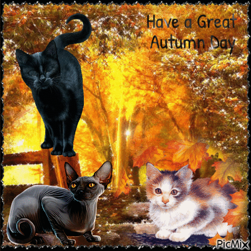 Black cat. Have a great Autumn Day - GIF animado grátis
