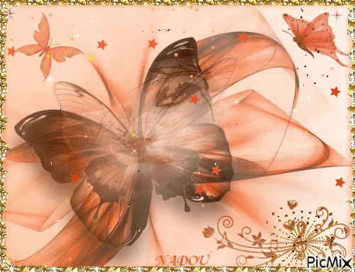 papillon - GIF animado grátis