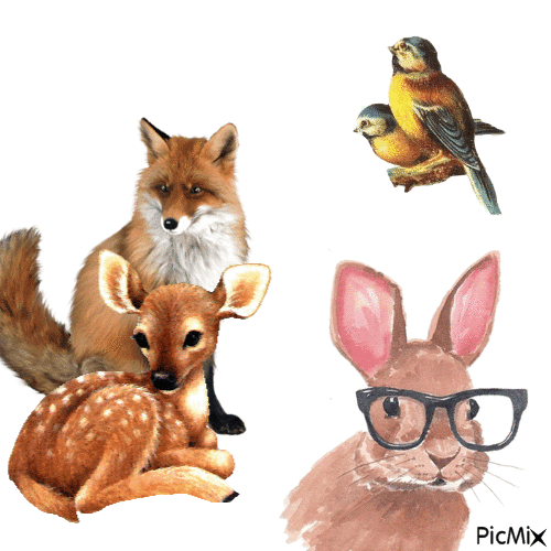 Animals - Безплатен анимиран GIF