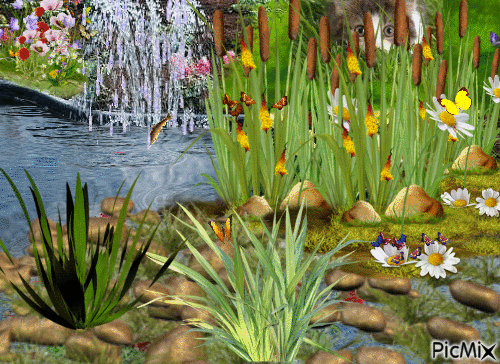 étang fleurie - Zdarma animovaný GIF