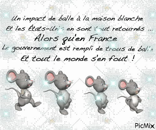 humour à la française !! - Free animated GIF