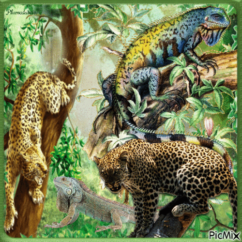 Iguanes et léopards. - GIF animasi gratis