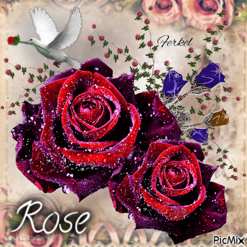Rose's - 免费动画 GIF