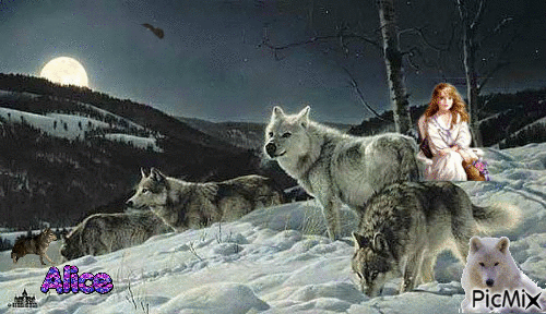 mes amours les loups - Free animated GIF