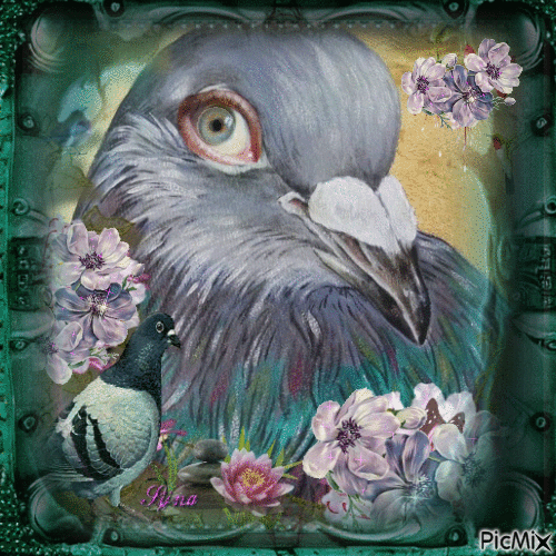 pigeon art - Безплатен анимиран GIF