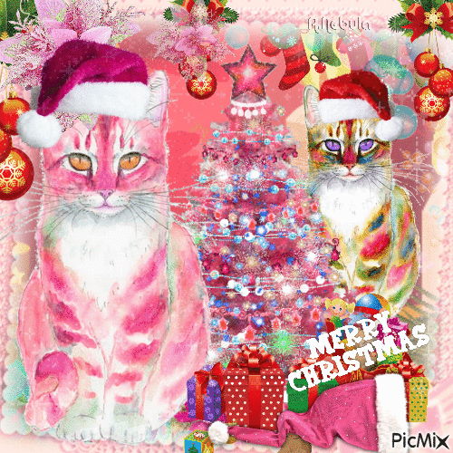 Christmas cat art-contest - GIF animé gratuit