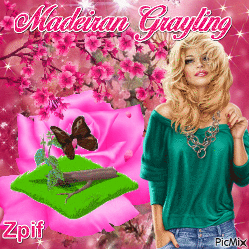 Madeiran grayling - Бесплатный анимированный гифка