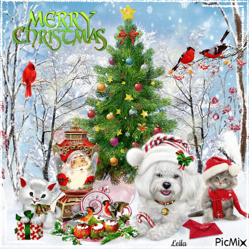 Merry Christmas. Dog, cats, birds. - Ingyenes animált GIF