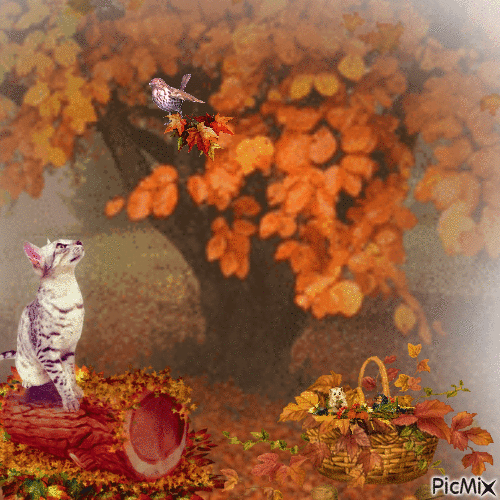 Autumn Cat - Animovaný GIF zadarmo